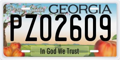 GA license plate PZO2609