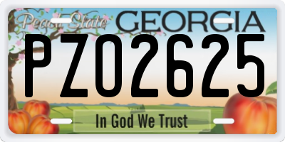GA license plate PZO2625