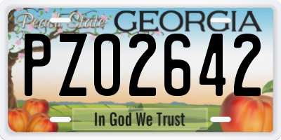 GA license plate PZO2642