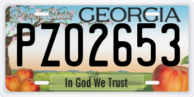 GA license plate PZO2653