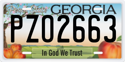 GA license plate PZO2663