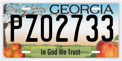 GA license plate PZO2733