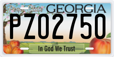 GA license plate PZO2750