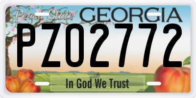 GA license plate PZO2772