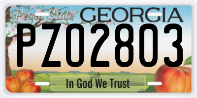 GA license plate PZO2803