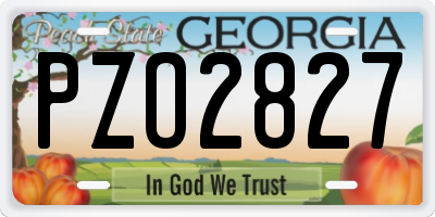 GA license plate PZO2827