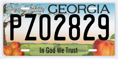 GA license plate PZO2829
