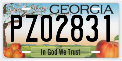 GA license plate PZO2831
