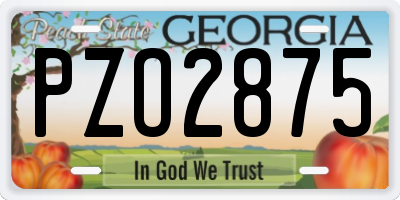 GA license plate PZO2875