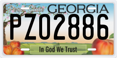 GA license plate PZO2886