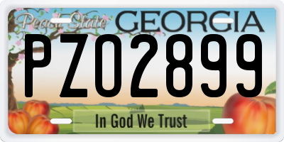 GA license plate PZO2899