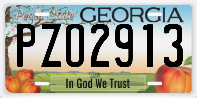 GA license plate PZO2913