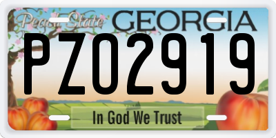 GA license plate PZO2919