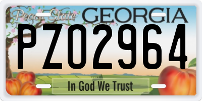 GA license plate PZO2964