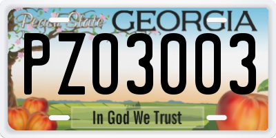 GA license plate PZO3003
