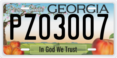 GA license plate PZO3007