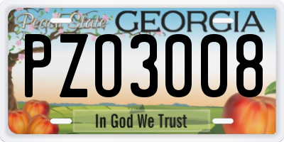 GA license plate PZO3008