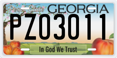 GA license plate PZO3011