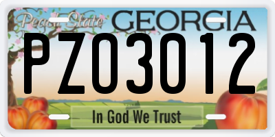 GA license plate PZO3012