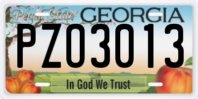 GA license plate PZO3013