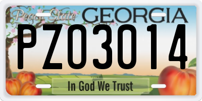 GA license plate PZO3014