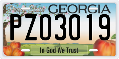 GA license plate PZO3019