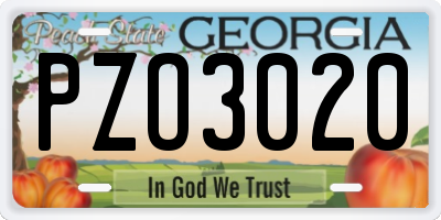 GA license plate PZO3020
