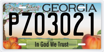 GA license plate PZO3021