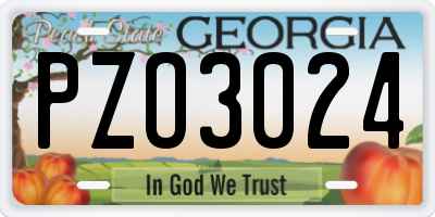GA license plate PZO3024