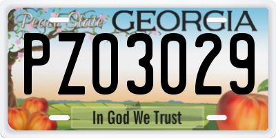 GA license plate PZO3029