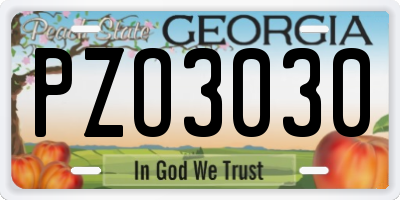 GA license plate PZO3030