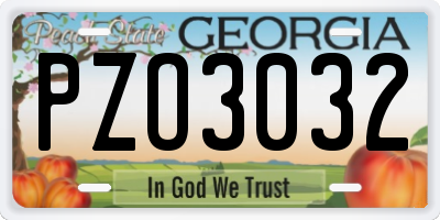 GA license plate PZO3032