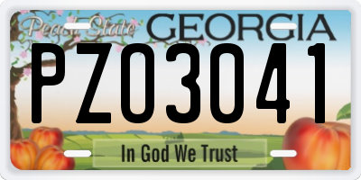 GA license plate PZO3041