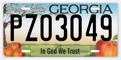 GA license plate PZO3049