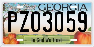 GA license plate PZO3059