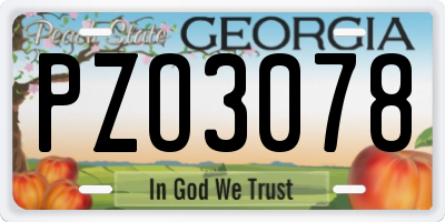 GA license plate PZO3078