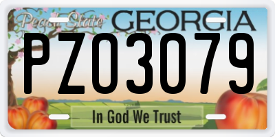 GA license plate PZO3079