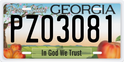 GA license plate PZO3081