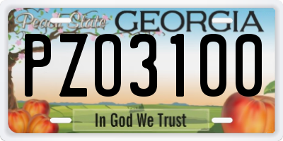GA license plate PZO3100
