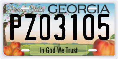 GA license plate PZO3105