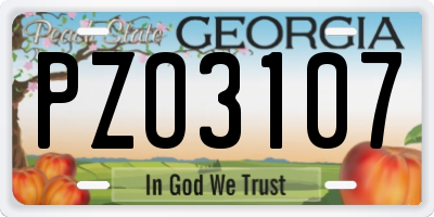 GA license plate PZO3107