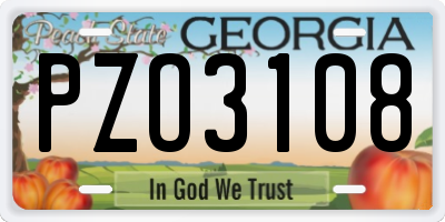 GA license plate PZO3108