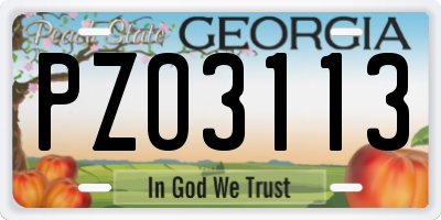 GA license plate PZO3113
