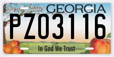 GA license plate PZO3116