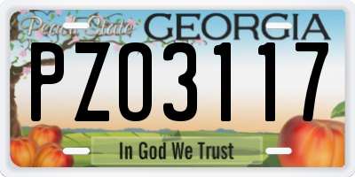 GA license plate PZO3117