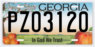 GA license plate PZO3120