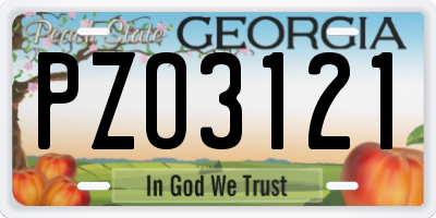 GA license plate PZO3121
