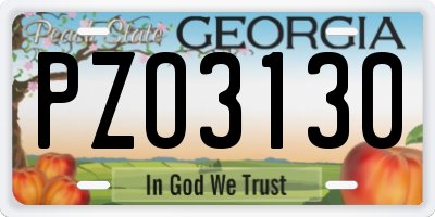 GA license plate PZO3130
