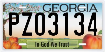 GA license plate PZO3134