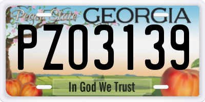 GA license plate PZO3139